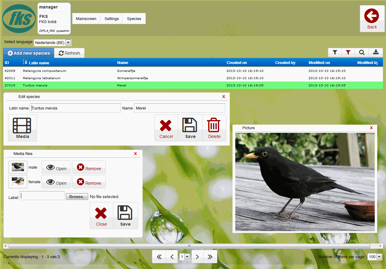 Odoo CMS - a big picture